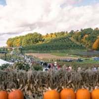 Sweet Halloween at Cider Hill Farm thumbnail