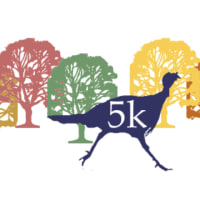 2023 Franklin Park Turkey Trot thumbnail