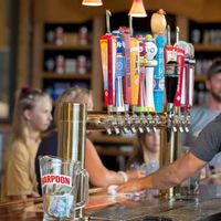 Harpoon Beer Tasting & Auction: Education First thumbnail