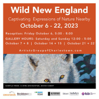 Wild New England: Captivating Expressions of Nature Nearby thumbnail