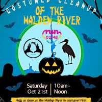 Malden River & Neighborhood Cleanup thumbnail