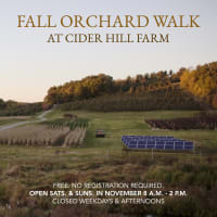 Self-Guided Fall Orchard Walk at Cider Hill Farm thumbnail