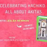 Celebrating Hachiko: All About Akitas with Lesléa Newman thumbnail