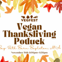 2023 Vegan Thanksliving Potluck thumbnail