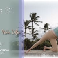 Yoga 101 & The LYT Method: A FUNctional Take on Your Yoga Practice with Nikki Dillon thumbnail