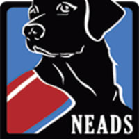 NEADS World Class Service Dogs Fall Graduation Ceremony thumbnail