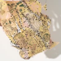 Roya Amigh: Beyond Us thumbnail