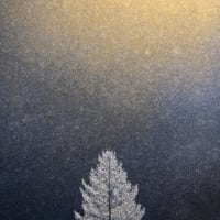 Artist Reception: Transcendence - Awakening the Soul - Xuan Hui Ng thumbnail