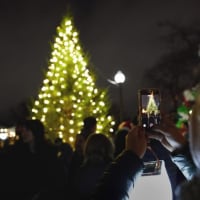 Fenway Tree Lighting 2023 thumbnail