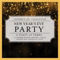 New Year's Eve at Terra thumbnail