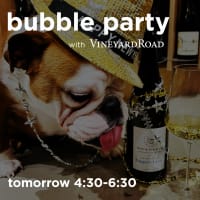 Bubble Party with Vineyard Road thumbnail
