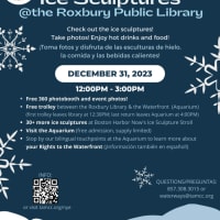 Ice Sculptures Nubian Square Roxbury thumbnail
