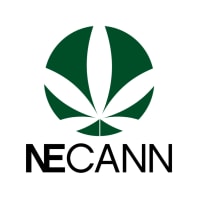 New England Cannabis Convention thumbnail