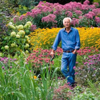In Conversation with Adrian Bloom - Plantsman and Author thumbnail