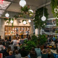 Sofar Sounds Concert in Haymarket thumbnail