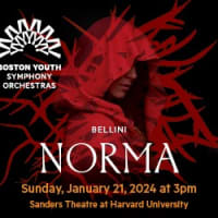 Boston Youth Symphony Orchestras to Present Bellini’s Norma  thumbnail