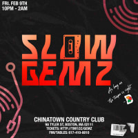 Slow Gemz Party thumbnail