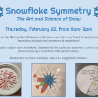 Snowflake Symmetry thumbnail