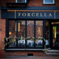Campania Wine Dinner at Forcella Boston thumbnail