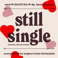 Still Single / a social event for singles in their thirties(ish) thumbnail