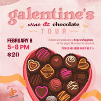Galentine's Wine & Chocolate Tour thumbnail