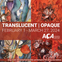 Translucent | Opaque Exhibition at Arlington Center for the Arts thumbnail