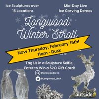 Longwood Winter Stroll thumbnail