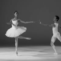 Boston Ballet Presents - Winter Experience thumbnail