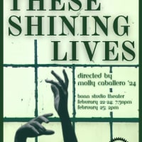 These Shining Lives thumbnail