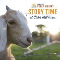 Free Story Time with Amesbury Public Library thumbnail