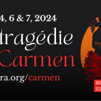 Opera in Boston - La Tragédie de Carmen thumbnail