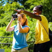 Wednesday Morning Birding at the Boston Nature Center thumbnail