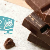 Single Origin Sotto Chocolate Pop-Up at Curio Spice thumbnail