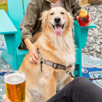 Park-9 Dog Bar Spring Fling! thumbnail