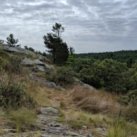 Blue Hills - Moderate Hike on Part of the Skyline Trail thumbnail