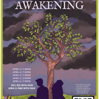 Spring Awakening at Harvard thumbnail