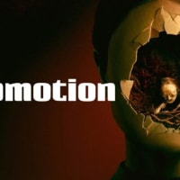 Bright Lights: Stopmotion with director Robert Morgan thumbnail