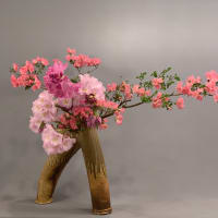 Ikebana Opening Night Reception thumbnail