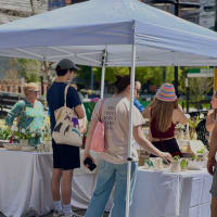 Brookline Open Studios thumbnail