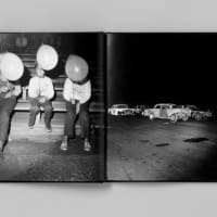 Photobook Celebration featuring Henry Horenstein thumbnail