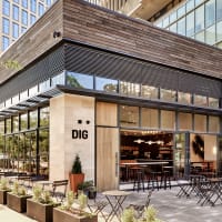 DIG Spring Patio Party + Trivia  thumbnail