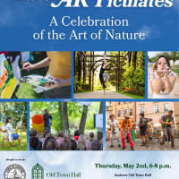 EarthARTiculates - A Celebration of the Art of Nature  thumbnail