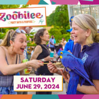 Zoobilee! Party with a Purpose thumbnail
