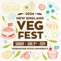 New England Vegfest 2024 thumbnail