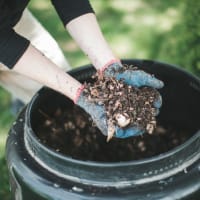 Boston Compost Certification thumbnail