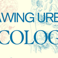 Drawing Urban Ecology thumbnail