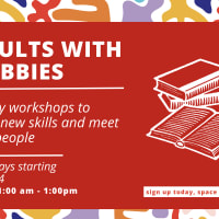 Adults With Hobbies | Radical Feminist Book Club thumbnail