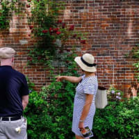 29th Annual South End Garden Tour thumbnail