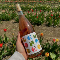 Vine & Blooms Wine Tasting at Felix’s Family Farm thumbnail