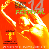 14th Annual Dance for World Community thumbnail